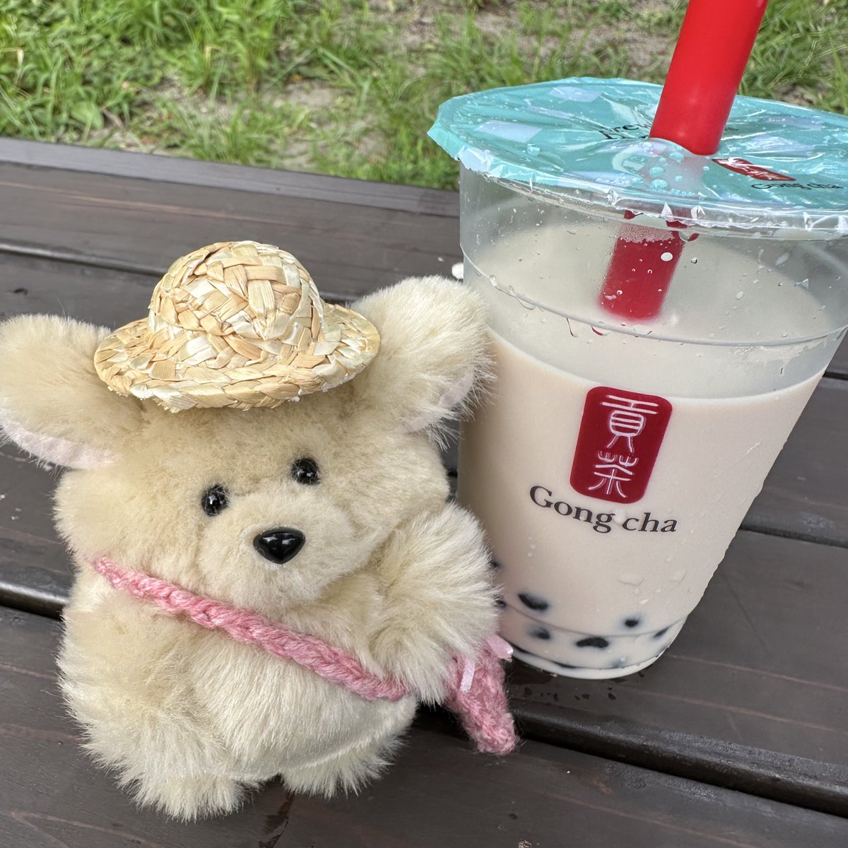 _103u3's tweet image. すいぶんほきゅ、だいじ🧋