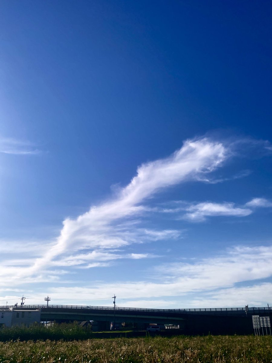 tamon_farm's tweet image. 白龍🐉✨✨✨