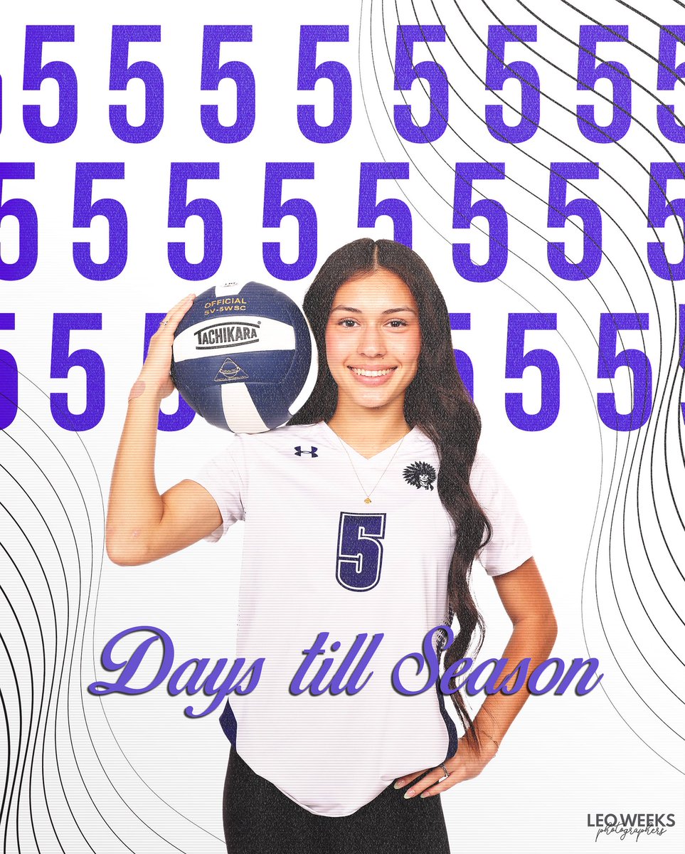 💜🏐💜🏐💜