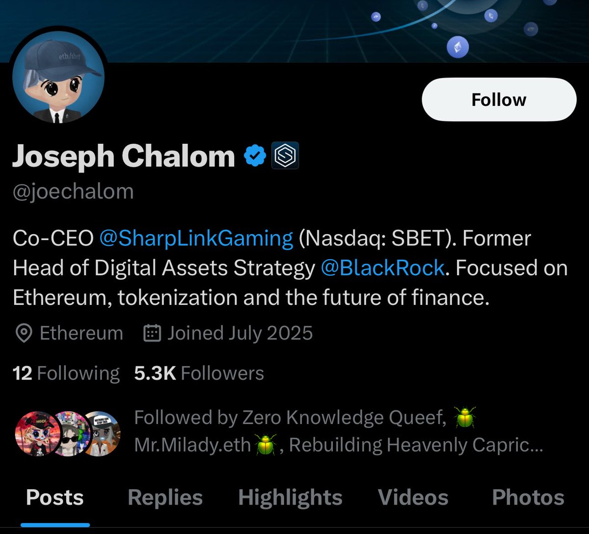 yeah former head of digital assets at blackrock and current co ceo of sbet <a href="/joechalom/">Joseph Chalom</a> is casually rocking a milady pfp and you still think being a community member of retarded birds is the winning strategy

milady world order