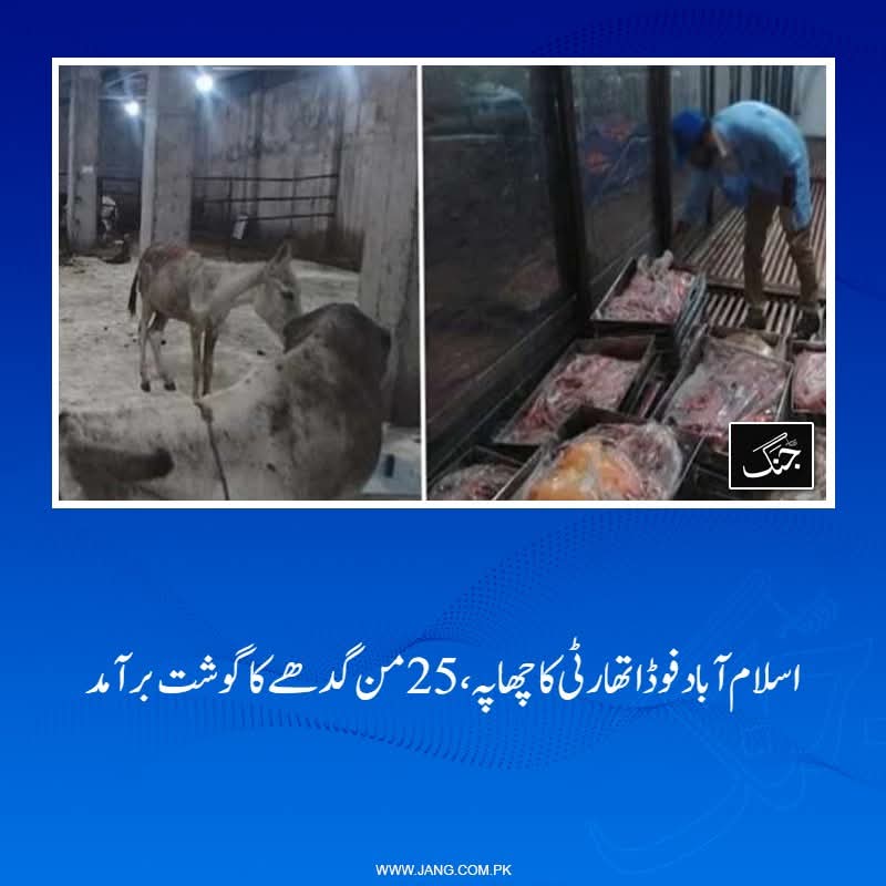 Irumchaudhary20's tweet image. کھوتے کا گوشت انسان میں ذمہ داریوں کا بوجھ اُٹھانے کی طاقت پیدا کرتا ہے... 😜🤣