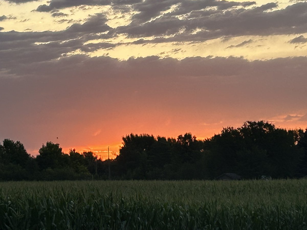 This is the day the Lord has made. Let us rejoice and, use the day.