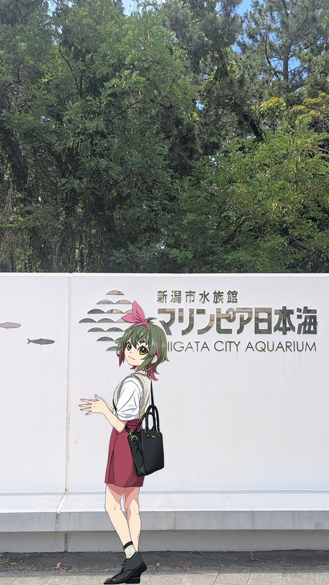 1007yu's tweet image. 12年ぶりに新潟に行ってきた。
マリンピア日本海おもろ。
屋外にいるペンギンはあまりの暑さにうなだれてた。