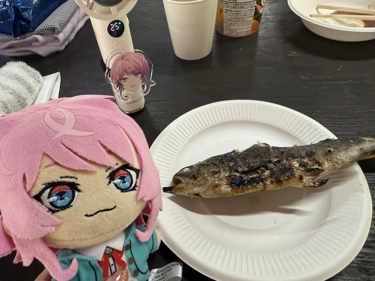 zzz_pochichi's tweet image. らむち、ニジマスよ