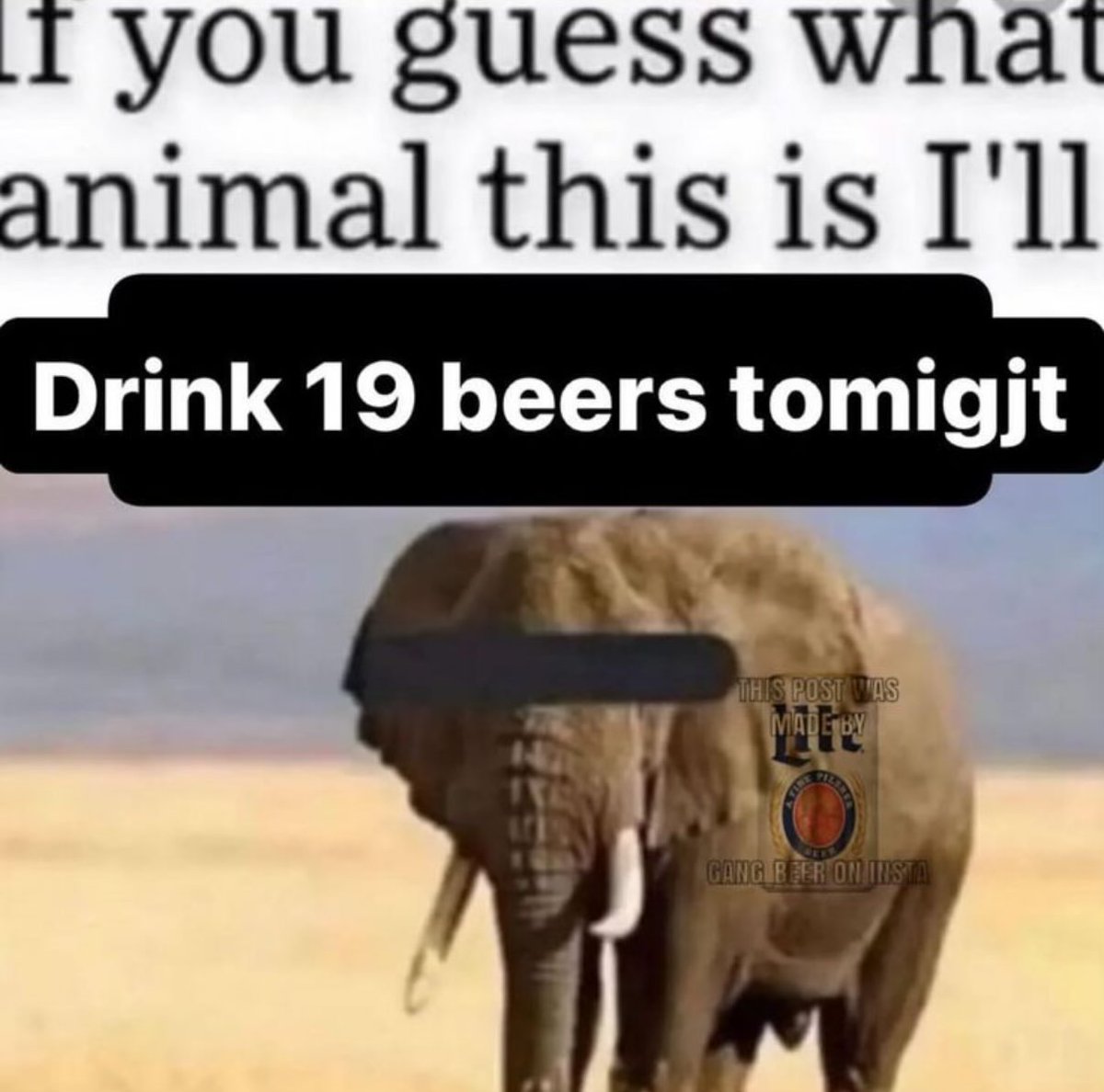 avgcryptoguy's tweet image. 20 degrees and rainy? oh yeah perfect for sinking double digit beers with the boys