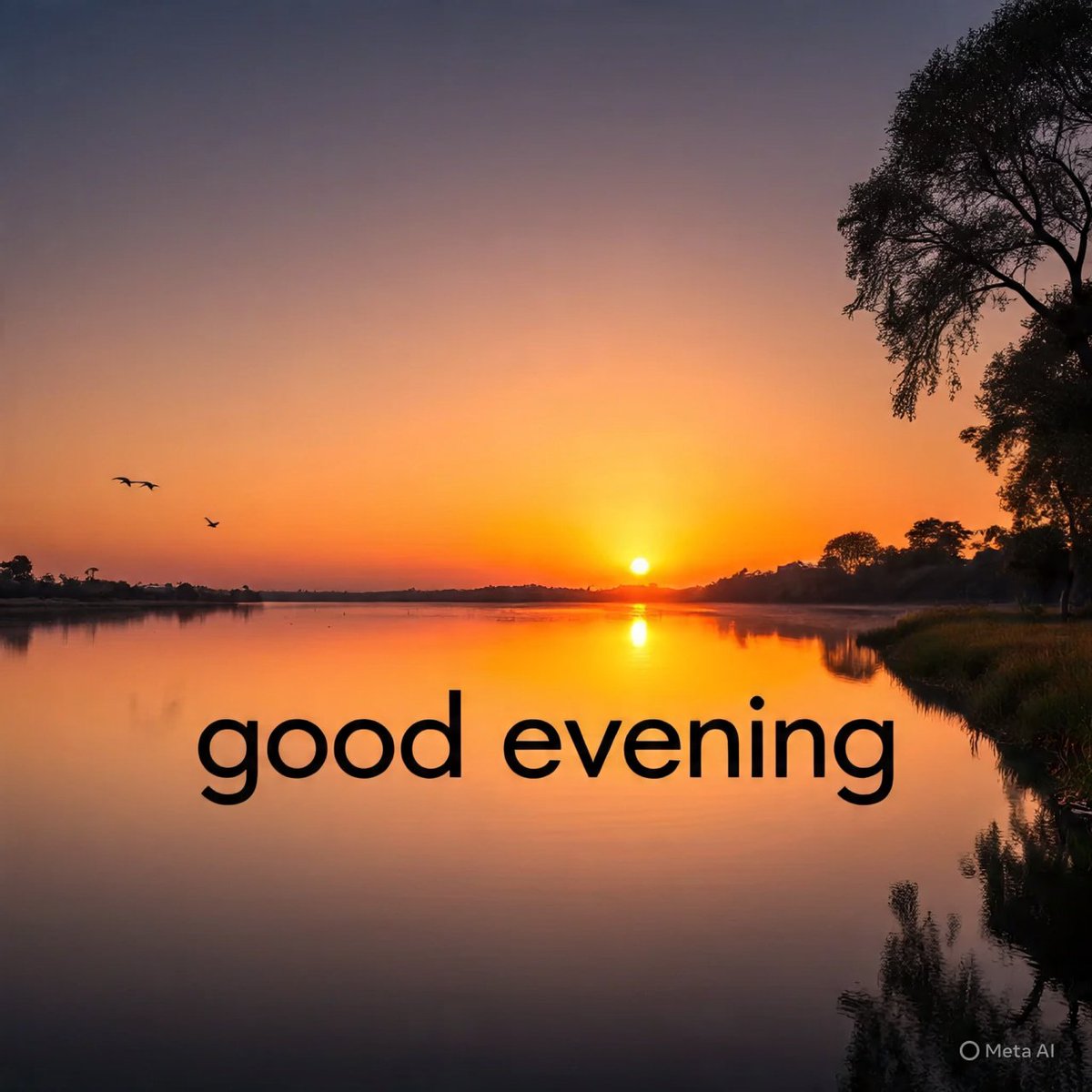 james_negi's tweet image. Good evening dear friends.....