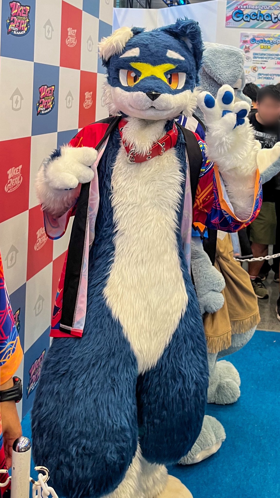 犬伏 MANDARINE BROTHERS マンダリンブラザーズ ドッグウェア スキン