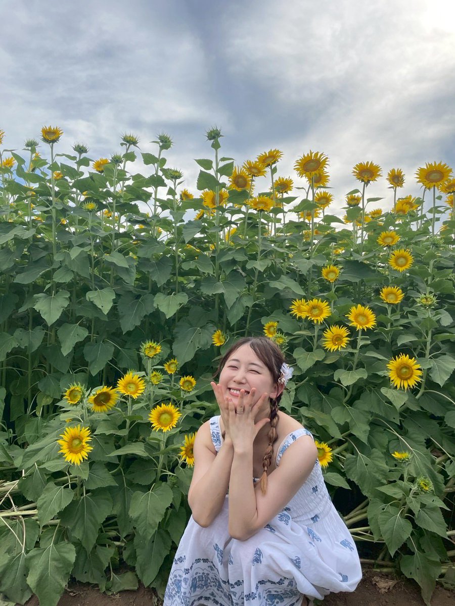 fuyuki220's tweet photo. ひまわり可愛かった〜 https://t.co/Pp0139gtw4