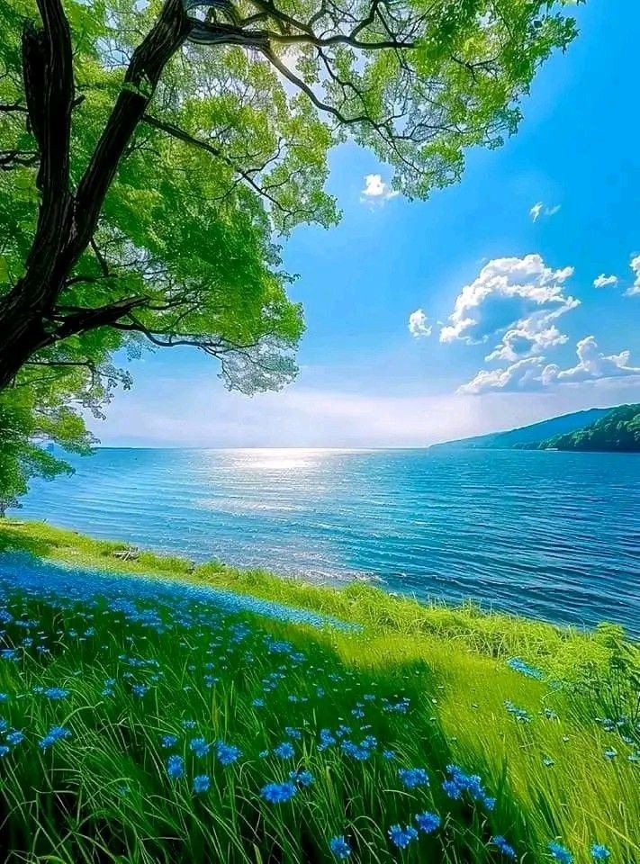 swissmountain08's tweet image. 