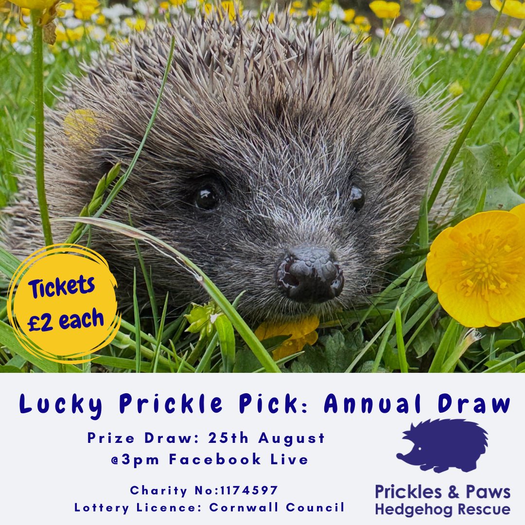 Prickles_Paws's tweet image. 🦔 Lucky Prickle Pick Annual Draw🦔
🎟️ Tickets just £2 – all proceeds help our hedgehogs 🐾❤️🩹
👉 Enter now: pricklesandpaws.org/shop
Please RT, tag a friend & help us spread the word! 🌿🦔