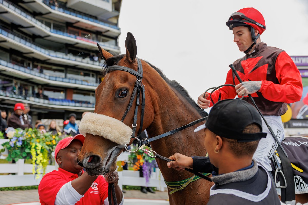 World Pool (@worldpool) on Twitter photo PRINCESS OF GAUL reigns supreme in the G2 World Pool with Race Coast Debutante for <a href="/craig_zackey/">Craig Zackey</a> and <a href="/RaceKannemeyer/">Dean Kannemeyer Racing</a>!
📸 <a href="/CandiesePhoto/">Candiese Lenferna</a> | #WorldPool PRINCESS OF GAUL reigns supreme in the G2 World Pool with Race Coast Debutante for <a href="/craig_zackey/">Craig Zackey</a> and <a href="/RaceKannemeyer/">Dean Kannemeyer Racing</a>!
📸 <a href="/CandiesePhoto/">Candiese Lenferna</a> | #WorldPool