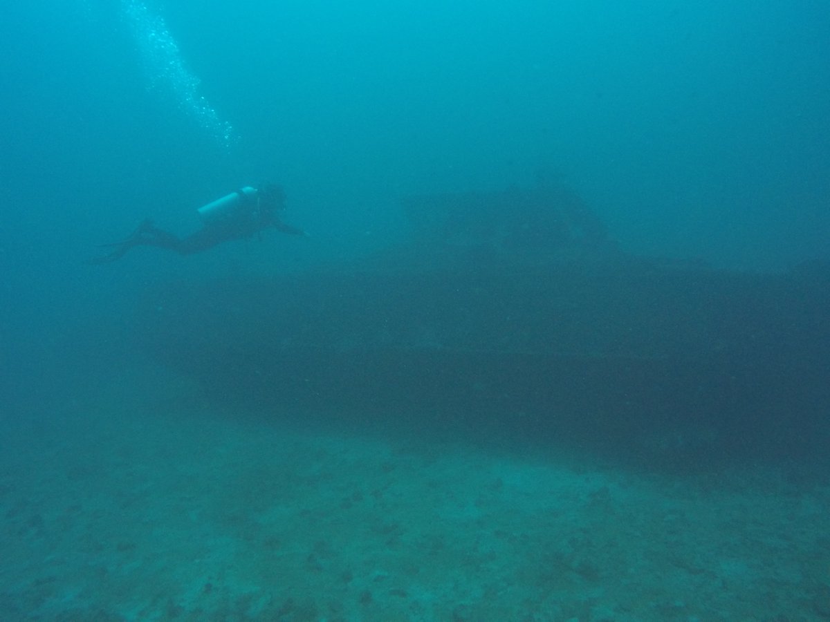 thanks <a href="/AbstractChain/">Abstract</a> memes to let my dream comes true. I couldn’t even imagine that we would find something like that at the very bottom of the Indian Ocean

gmabs everyone 🐠