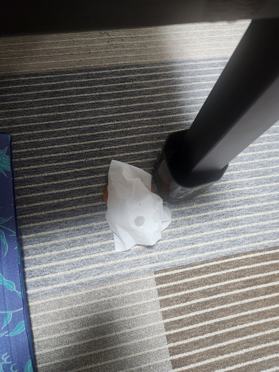 soundeffectmeat's tweet image. とりあえず世界滅びればいいのに