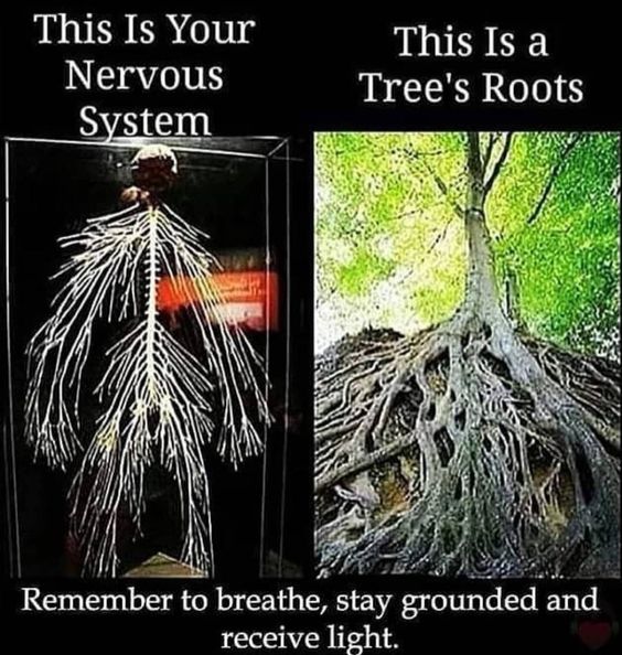 occultbot (@0ccultbot) on Twitter photo 