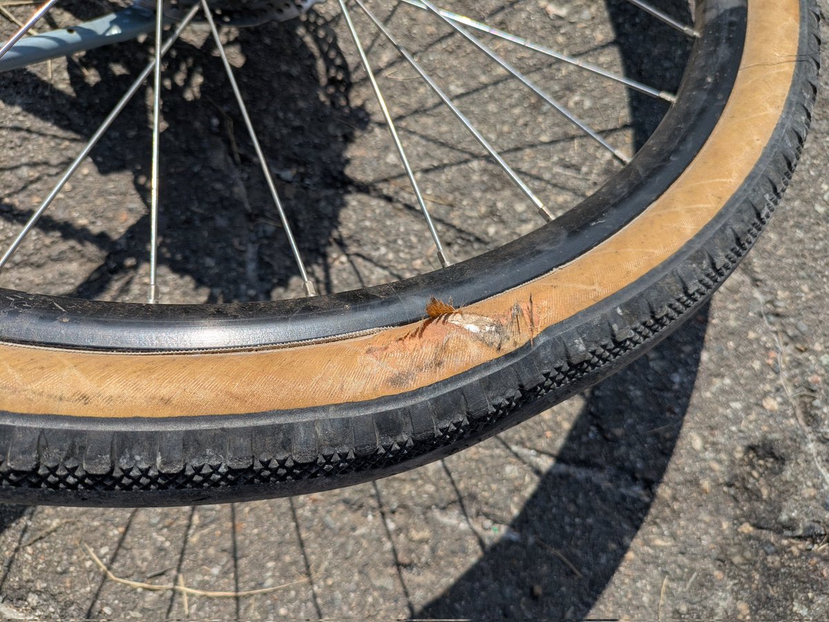 asobitogear's tweet photo. OMM BIKE、この状態でなんとか2日間走りきれました。皆さんのアドバイスに感謝です。

タイヤ買わなきゃ。

#ommbike https://t.co/VDXj6GWoT3