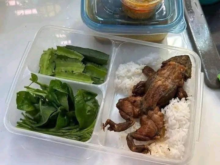 IHENE85834's tweet image. Reka nange mfate lunch 🥱🥱