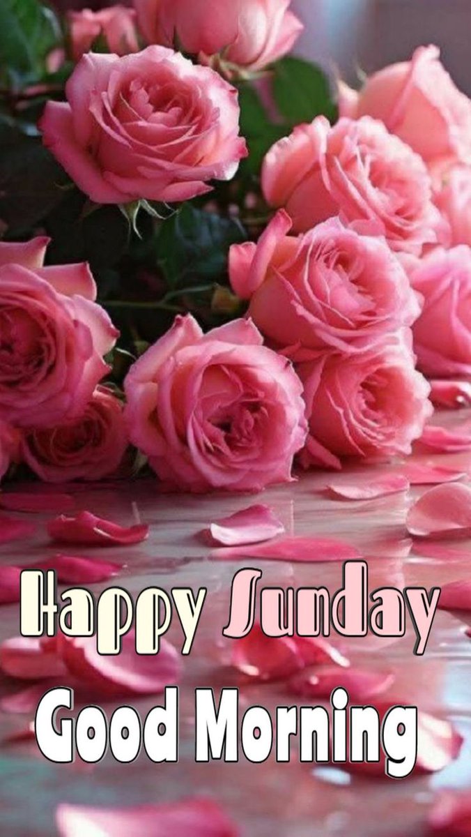 _ALESXIA's tweet image. Happy Sunday