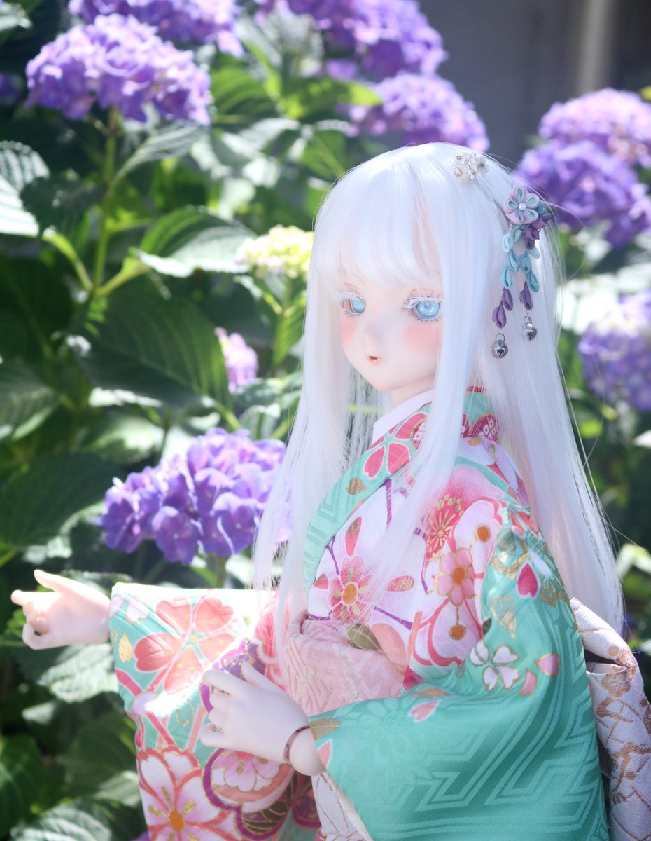 shikiuki_'s tweet image. プロフ画像にした写真
#うちのこかわいい