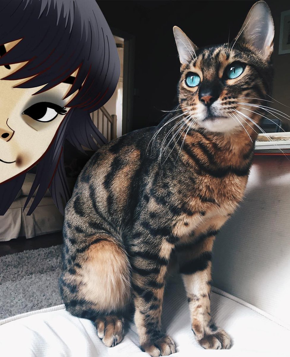 DemonDaysDaily's tweet image. 🎸🐱