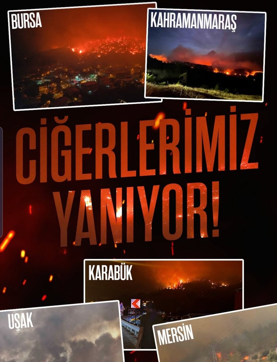 İhmal, sabotaj, kundaklama!
Sebep ne olursa olsun ormanlarımız değil ciğerlerimiz yanıyor/yakılıyor...
Yüksek teknolojilerle gözetlemeler gece gündüz yapılmalı. Hiç olmadığımız kadar teyakkuzda olmalıyız. Daha dikkatli olmalıyız!
Allahım her türlü afattan bizleri korusun.