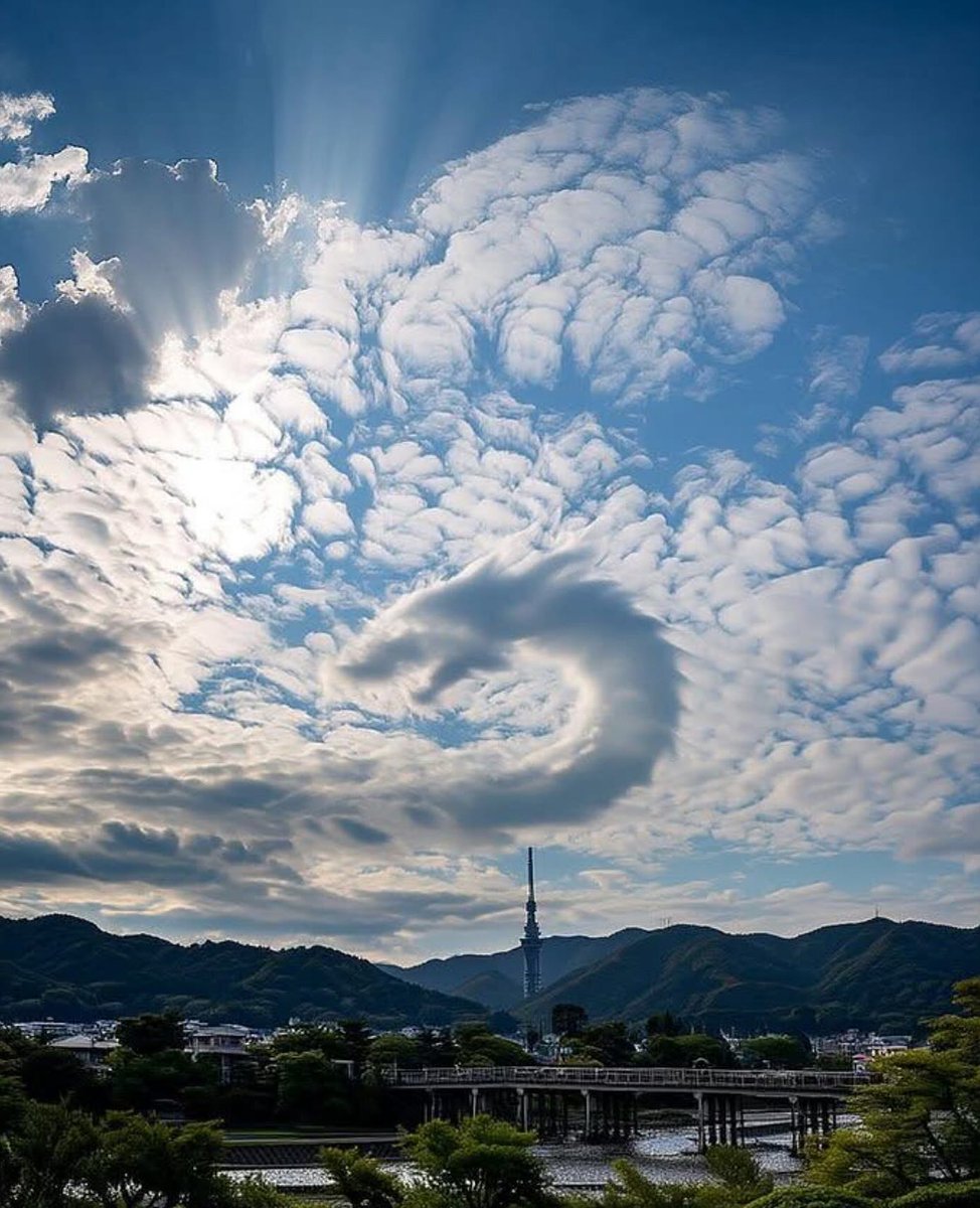 nulpuleunsonamu's tweet image. 🌤🐉

사진출처: ga.rnet9033/IG