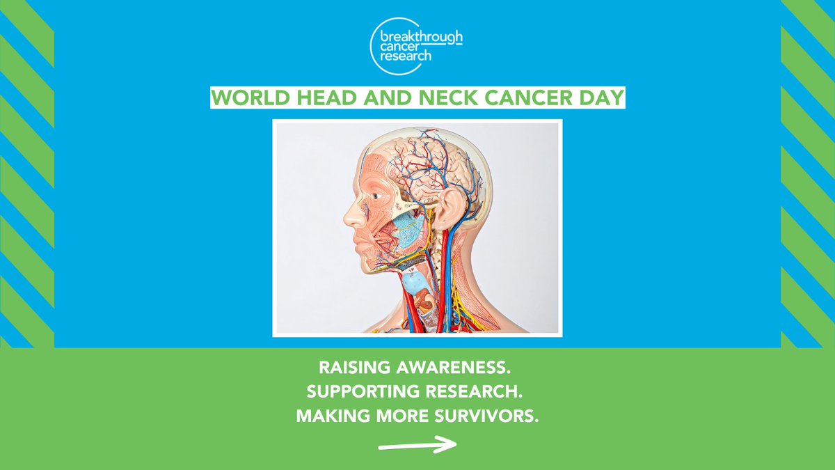 BreakthroCancer's tweet image. Today is #WorldHeadAndNeckCancerDay 💙
We’re supporting research that offers earlier diagnosis, smarter treatments, and more hope for the future.
Let’s #MakeMoreSurvivors. @IrishCancerReg
#HeadAndNeckCancer #CancerResearch #BreakthroughCancerResearch