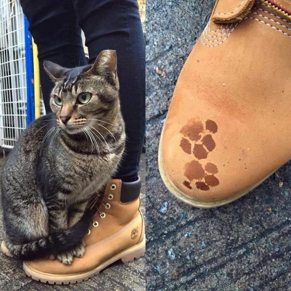 artist and art