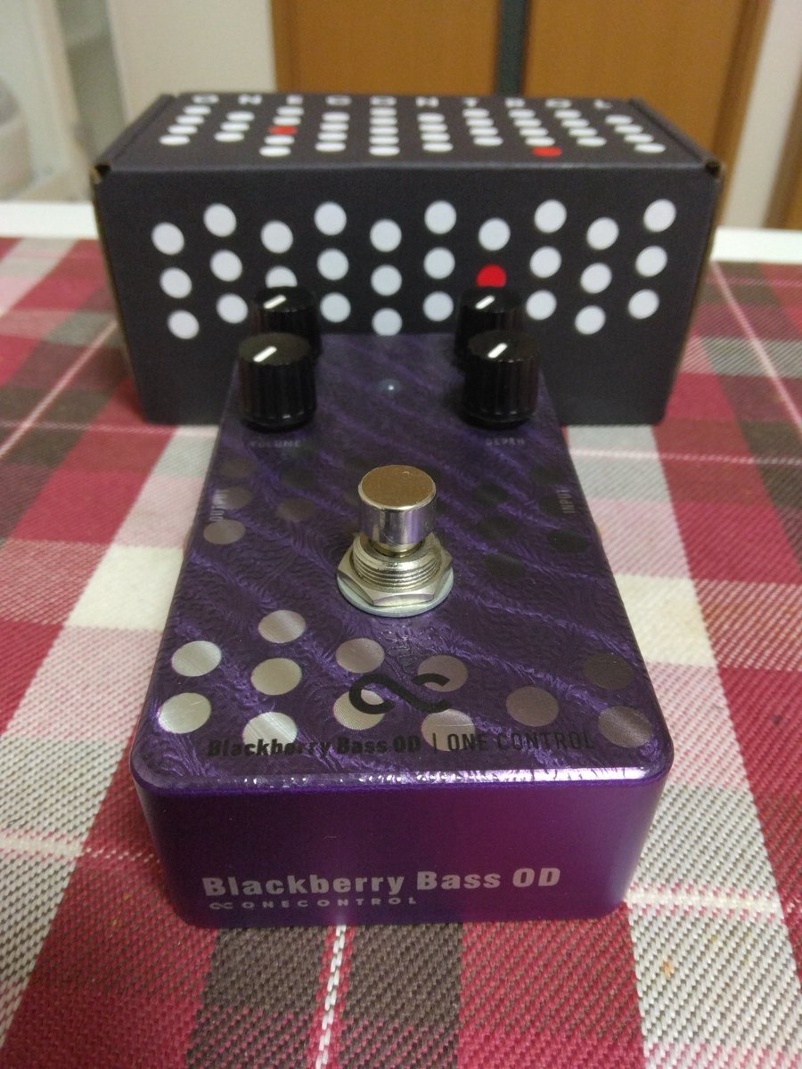 FUYUZAKURA97236's tweet image. MNG
なんとなく買いました(笑)
Blackberry Bass OD
 #onecontrol