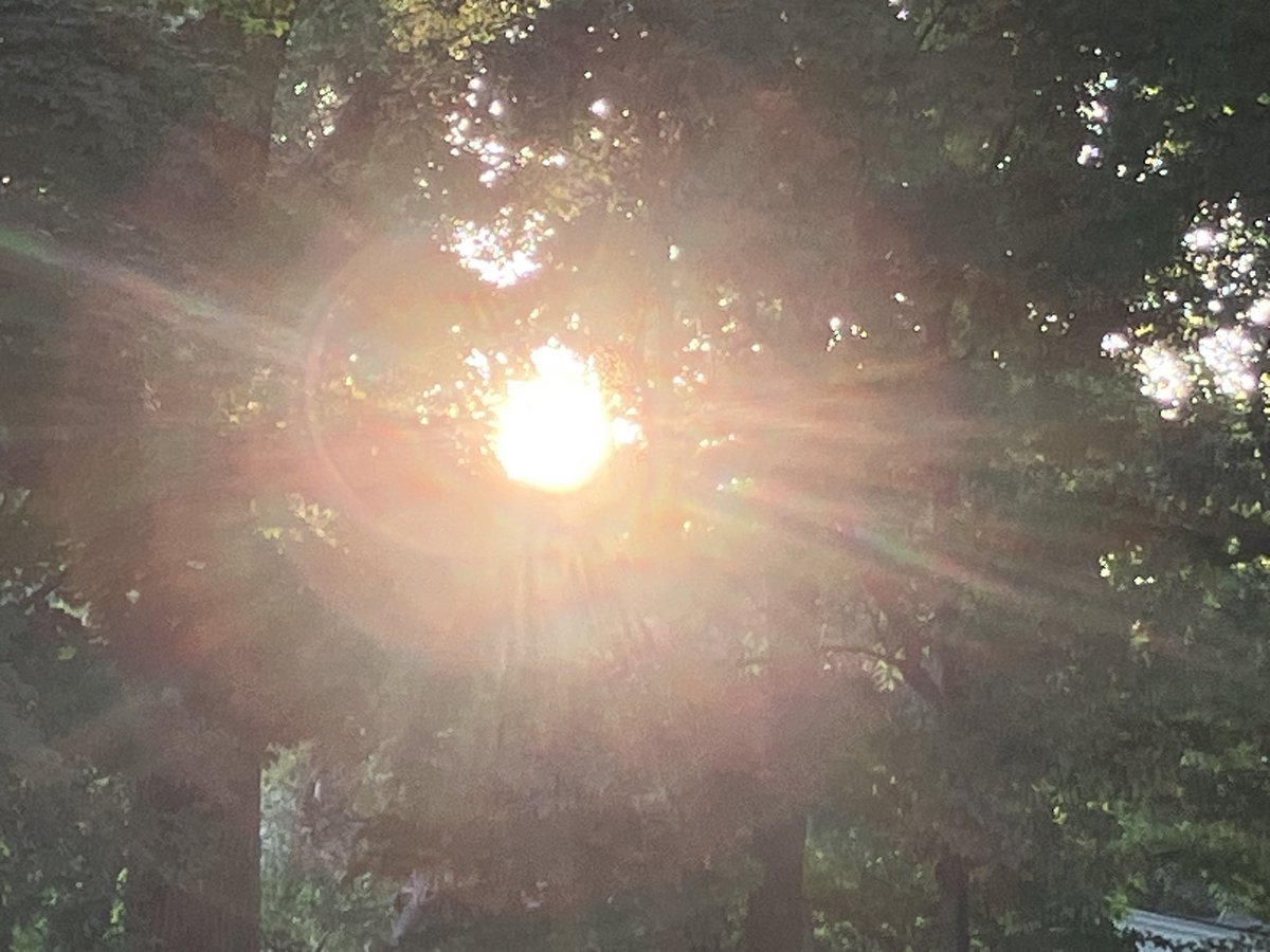 awake_human's tweet image. It’s a beautiful morning, the crows are yelling and that makes me happy 😃 wishing y’all an amazing day ahead ☀️🙏stay safe and smart and fluid 🙏🌊
Now, more than ever-
Arrive the Symphony 🙏❤️