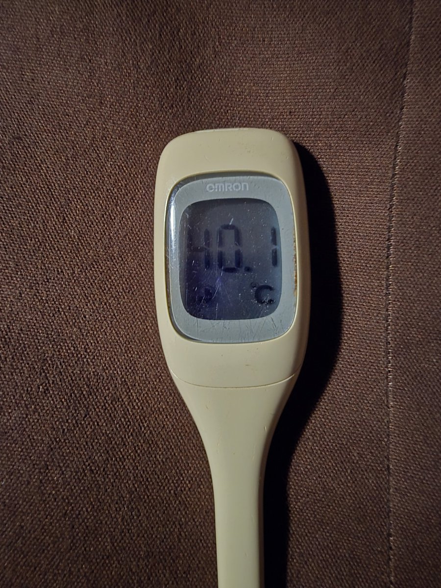 AI_lenekros's tweet image. 昨日から体調悪くて寝てます...
良くなったらまた頑張ります😭