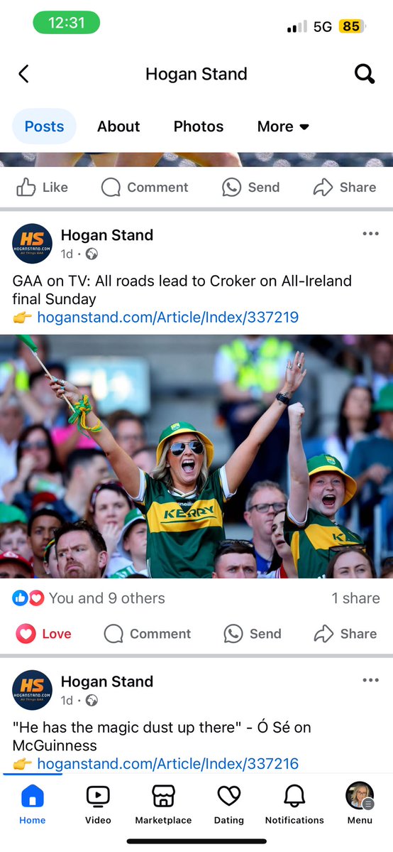 Up the Kingdom 🤣💚💛