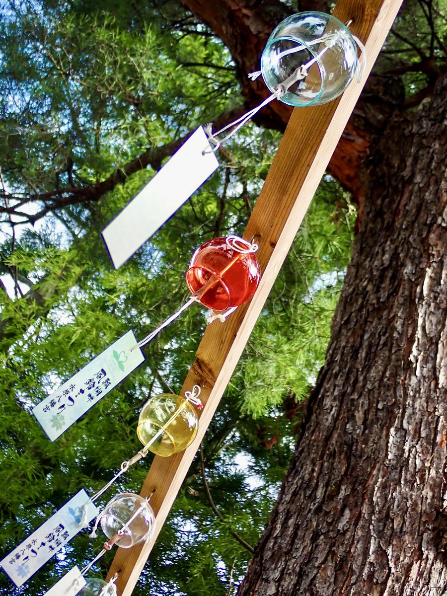 mashiko1970's tweet photo. 水原八幡宮⛩️
#水原八幡宮
#風鈴
#windbell
#提灯
#paperlantern
#狛犬
#神社仏閣
#神社
#パワースポット
#日本の風景
#阿賀野市
#写真好きな人と繫がりたい
#カメラ好きと繋がりたい
#写真仲間募集
#カメラ仲間募集
#カメラのある暮らし
#ファインダーの向こう側
#新潟写真部
#マリサポ写真部 https://t.co/otc3lLs3RR