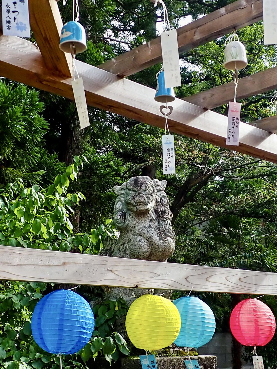 mashiko1970's tweet photo. 水原八幡宮⛩️
#水原八幡宮
#風鈴
#windbell
#提灯
#paperlantern
#狛犬
#神社仏閣
#神社
#パワースポット
#日本の風景
#阿賀野市
#写真好きな人と繫がりたい
#カメラ好きと繋がりたい
#写真仲間募集
#カメラ仲間募集
#カメラのある暮らし
#ファインダーの向こう側
#新潟写真部
#マリサポ写真部 https://t.co/otc3lLs3RR