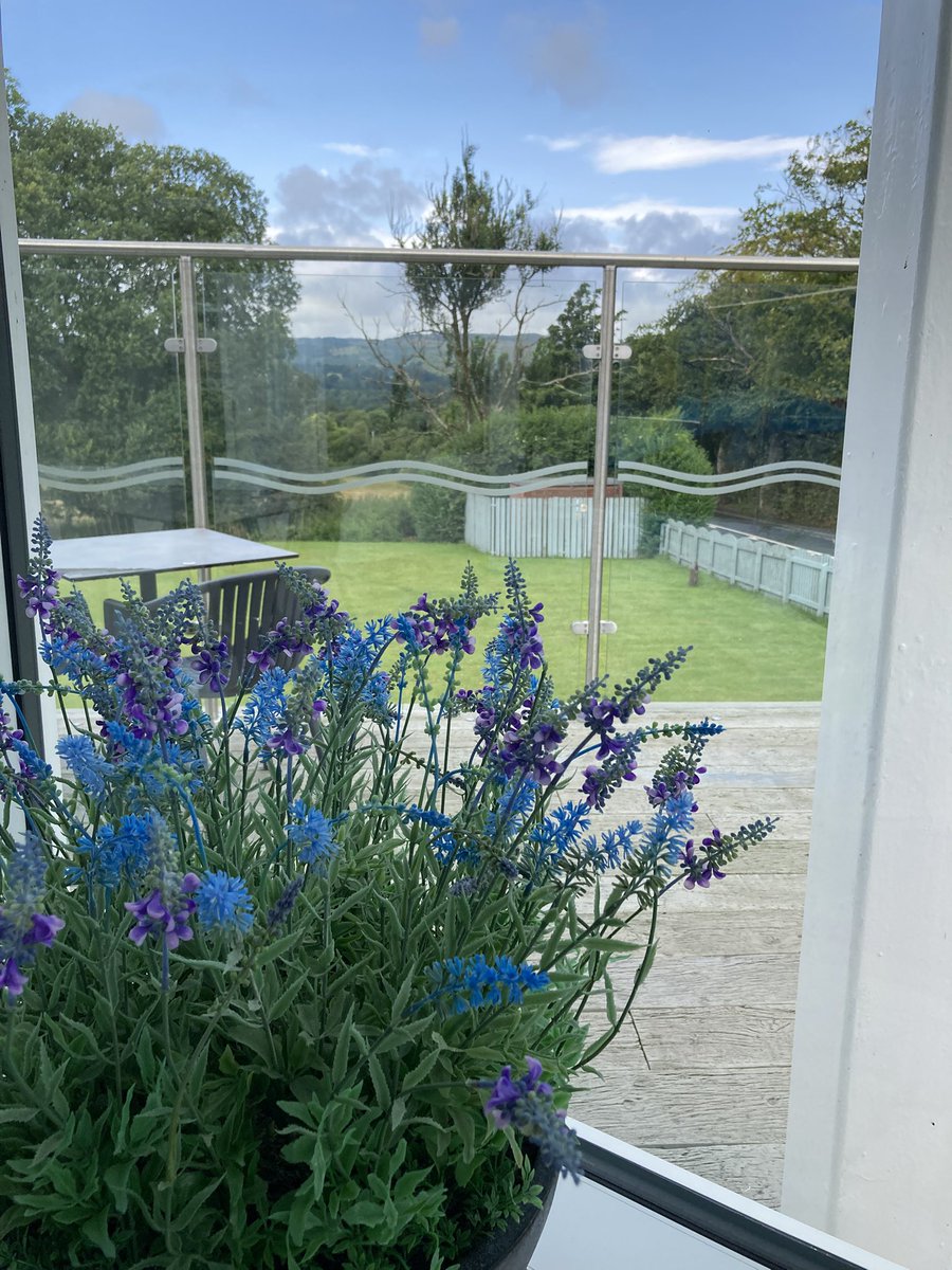 Out for a bit of Sunday lunch. Cheers