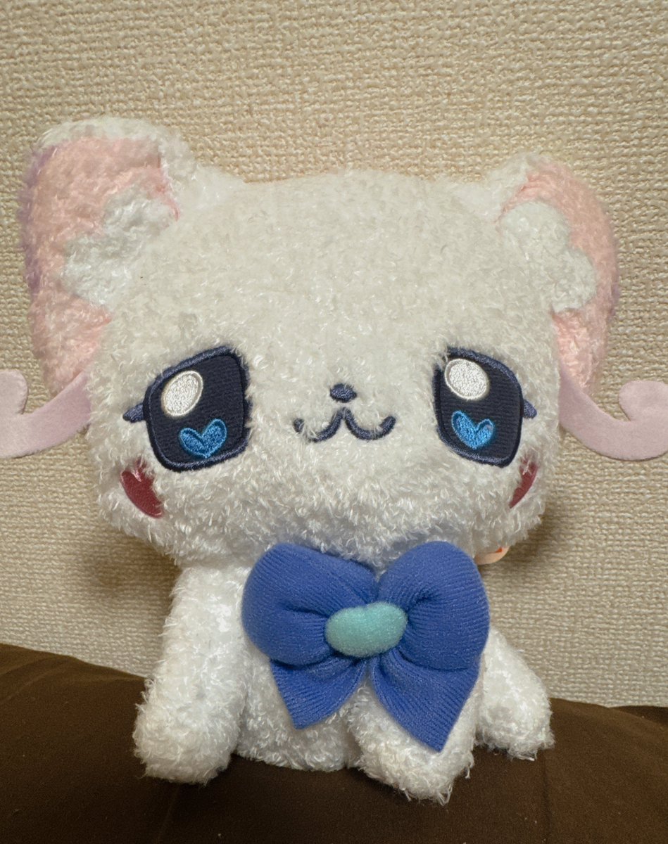 apple_sakura_7's tweet image. 我が家にゆきちゃんがきました🩵🩵