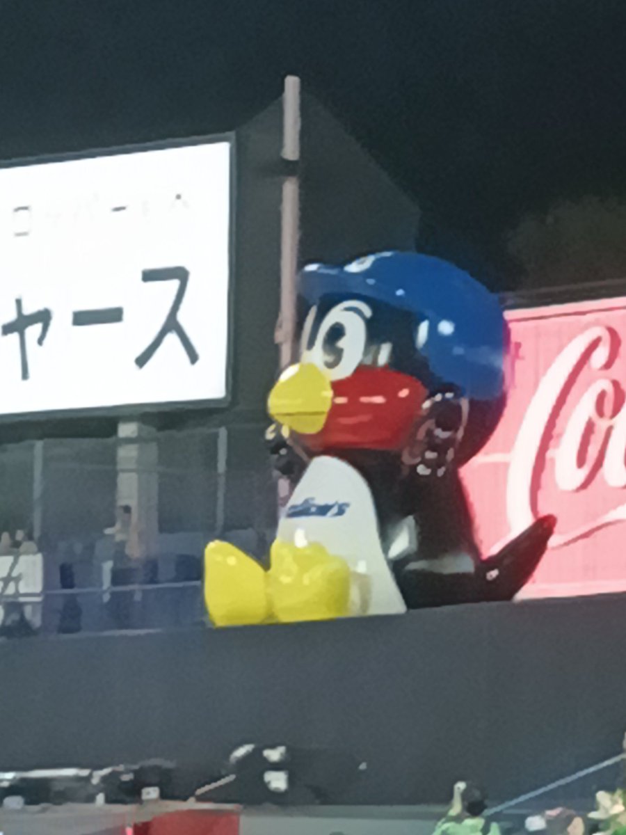 glucast's tweet image. 今日もつば九郎に会えたよ！
