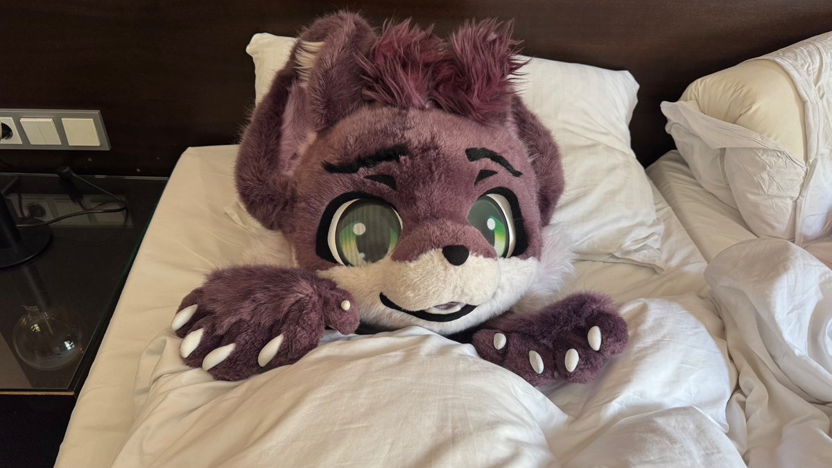 jinhai had a late night last night。(awoostria live picc)