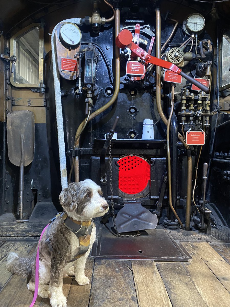 Putting a shift in shovelling the coals 🚂