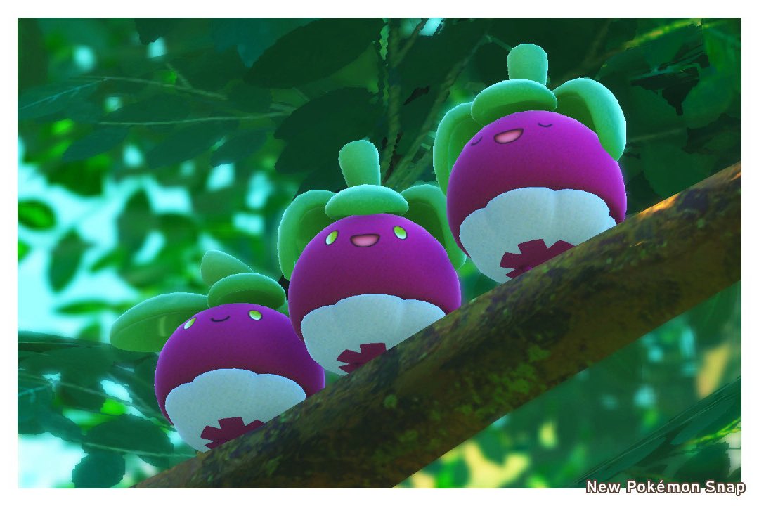 ぎもポケスナ展

「アマカジ」