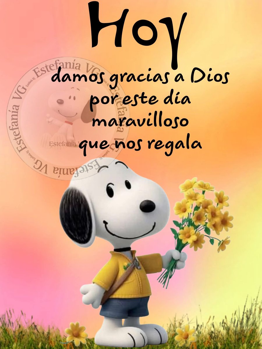 @Augusto Rivera (@7a8527e21de74bc) on Twitter photo 