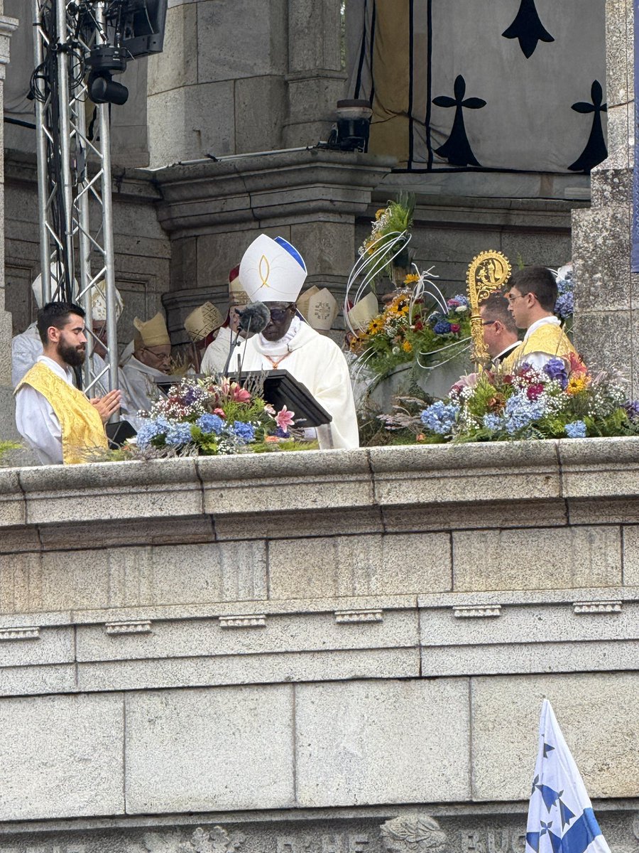 Robert Sarah, un cardenal africano, con más apego a la civilización cristiana, a la supervivencia de la Iglesia y a la verdad que todos esos obispos obedientes y pendientes de las dádivas de gobiernos, del negocio del dinero público para la inmigración cuya manutención y fomento