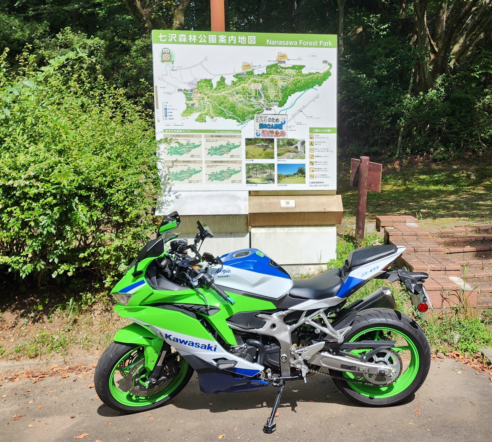 森の仔 23-ZX-4R-SO-BLADE0003-scaled.