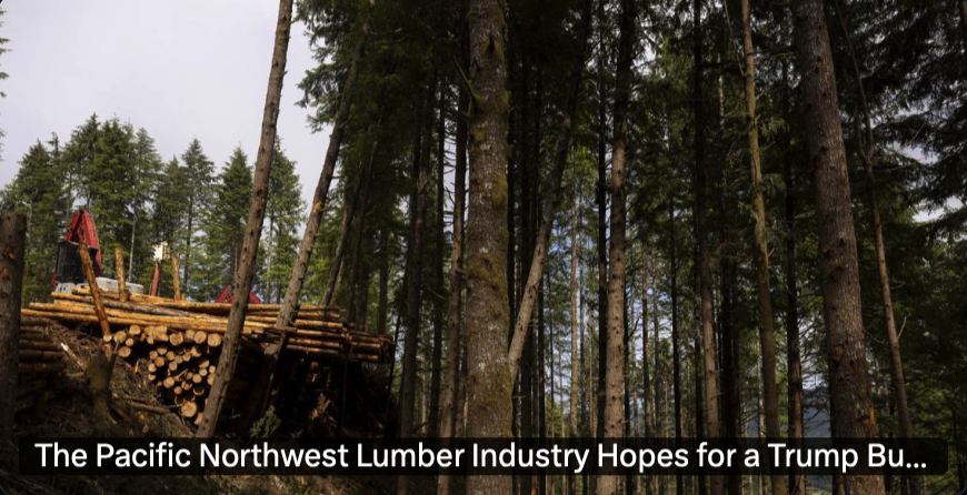 rosewdc's tweet image. The Pacific Northwest Lumber Industry Hopes for a Trump Bump. The president is calling for increased logging in national forests and raising trade protections against Canadian exports
See: bit.ly/3Uv7s7Q
Key Points
1. The Pacific Northwest lumber industry has declined…