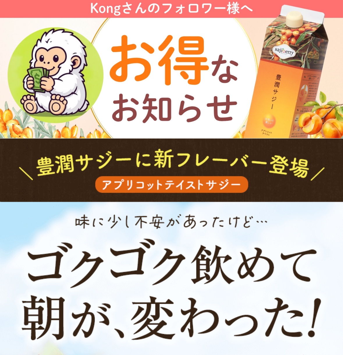 豊潤サジー 3ヶ月分＋おまけ サジーのフィネス | 豊潤サジー通販 | サジーベリー通販