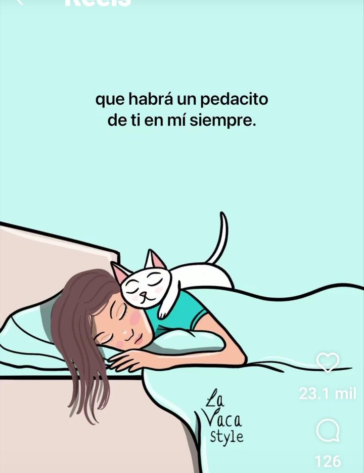 isabel esteve (@isagato62) on Twitter photo 