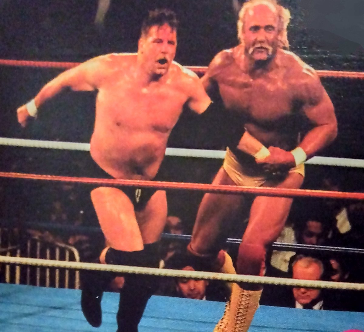 会場におりました。 #東京ドーム #日米レスリング・サミット