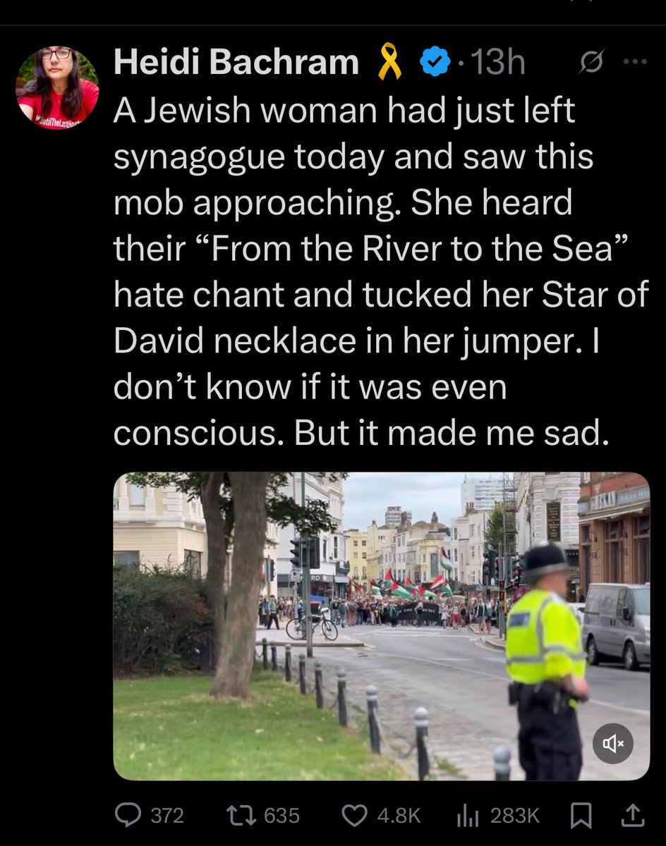 Lots of Jewish people take part in Palestine Solidarity protests. This is performative nonsense.