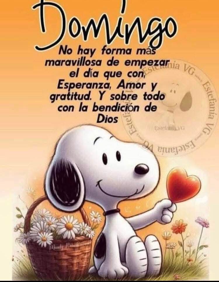 @Augusto Rivera (@7a8527e21de74bc) on Twitter photo 