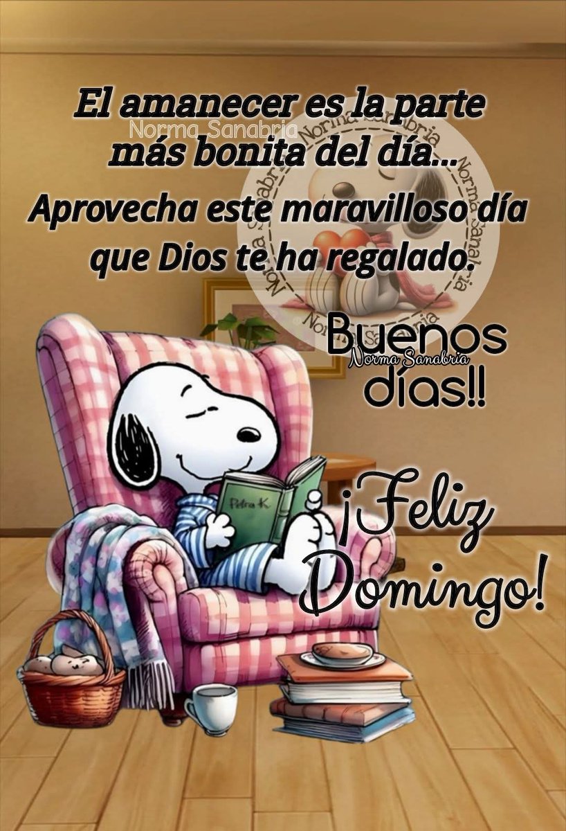 @Augusto Rivera (@7a8527e21de74bc) on Twitter photo 