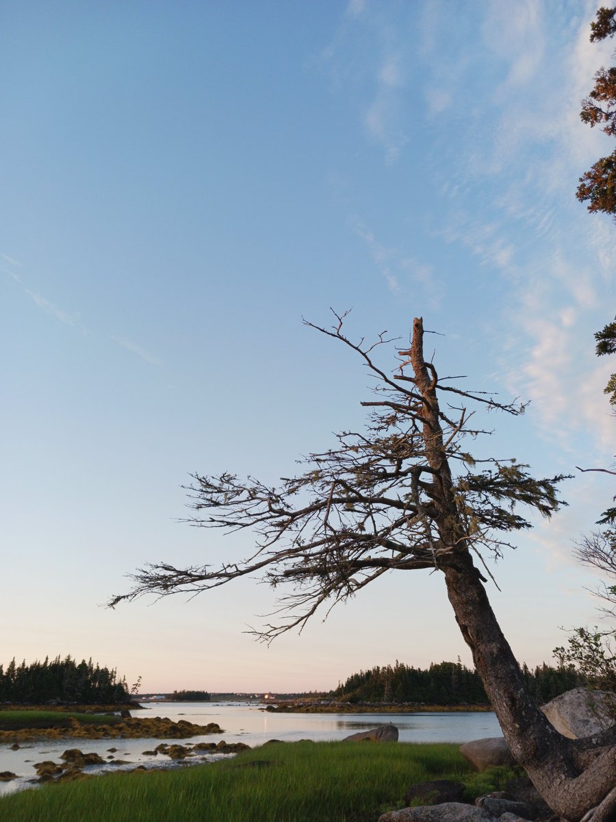ImagesCoast's tweet image. The remnants of the flumes coming from commercial aircraft flying over Nova Scotia. No commercial airline refuses to release the chemicals over the unsuspecting population.
Pilots are paid an extra $500 a day for flicking the switch to release the payload of what you see in…